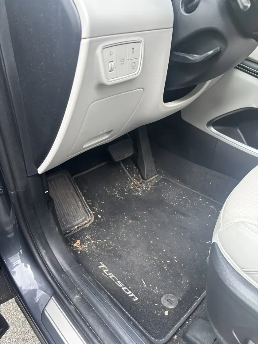 Sol et tapis avant nettoyage — réalisation Carshine