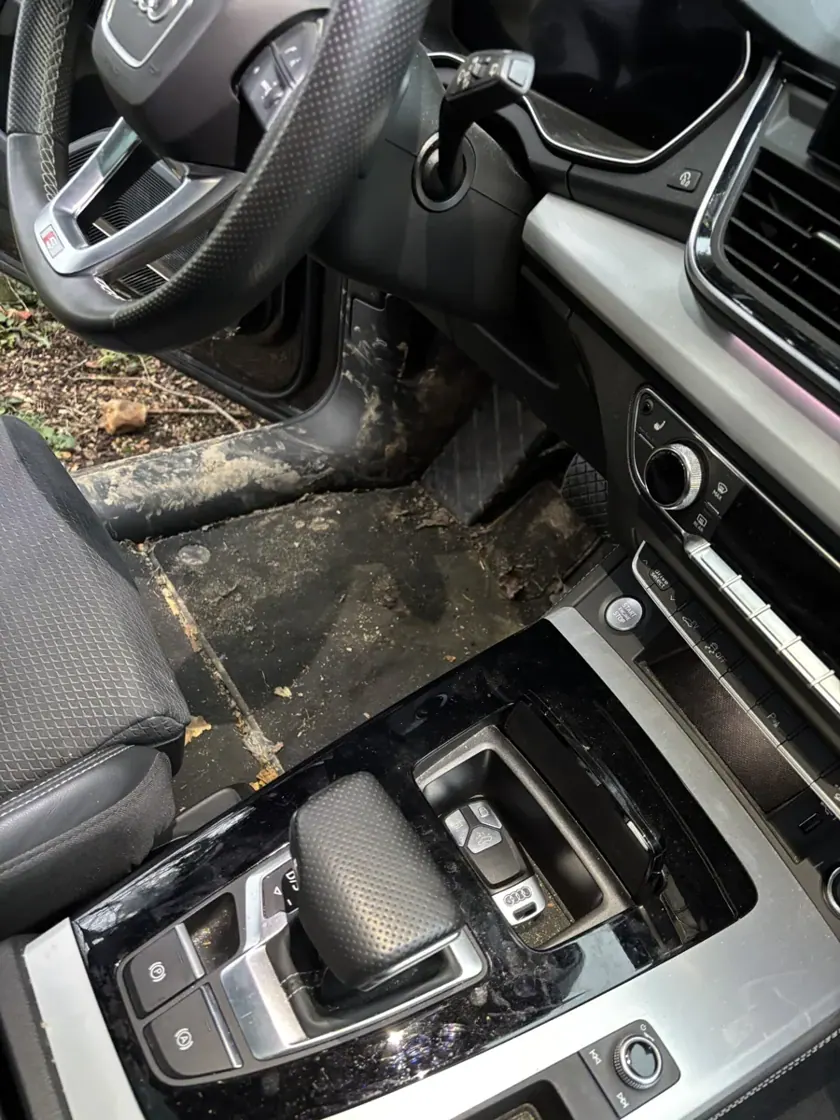 Plancher conducteur avant nettoyage — réalisation Carshine