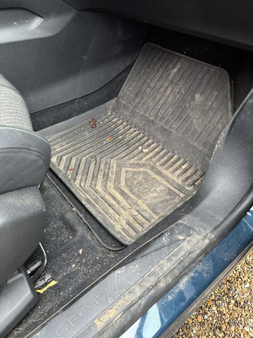 Tapis et plancher encrassés — réalisation Carshine